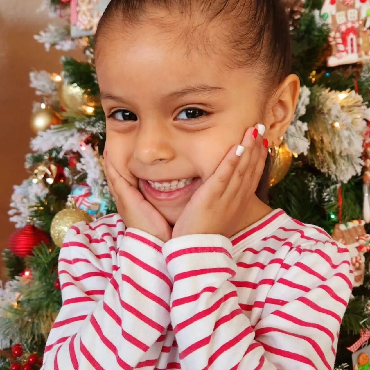 20 Days of Christmas Set