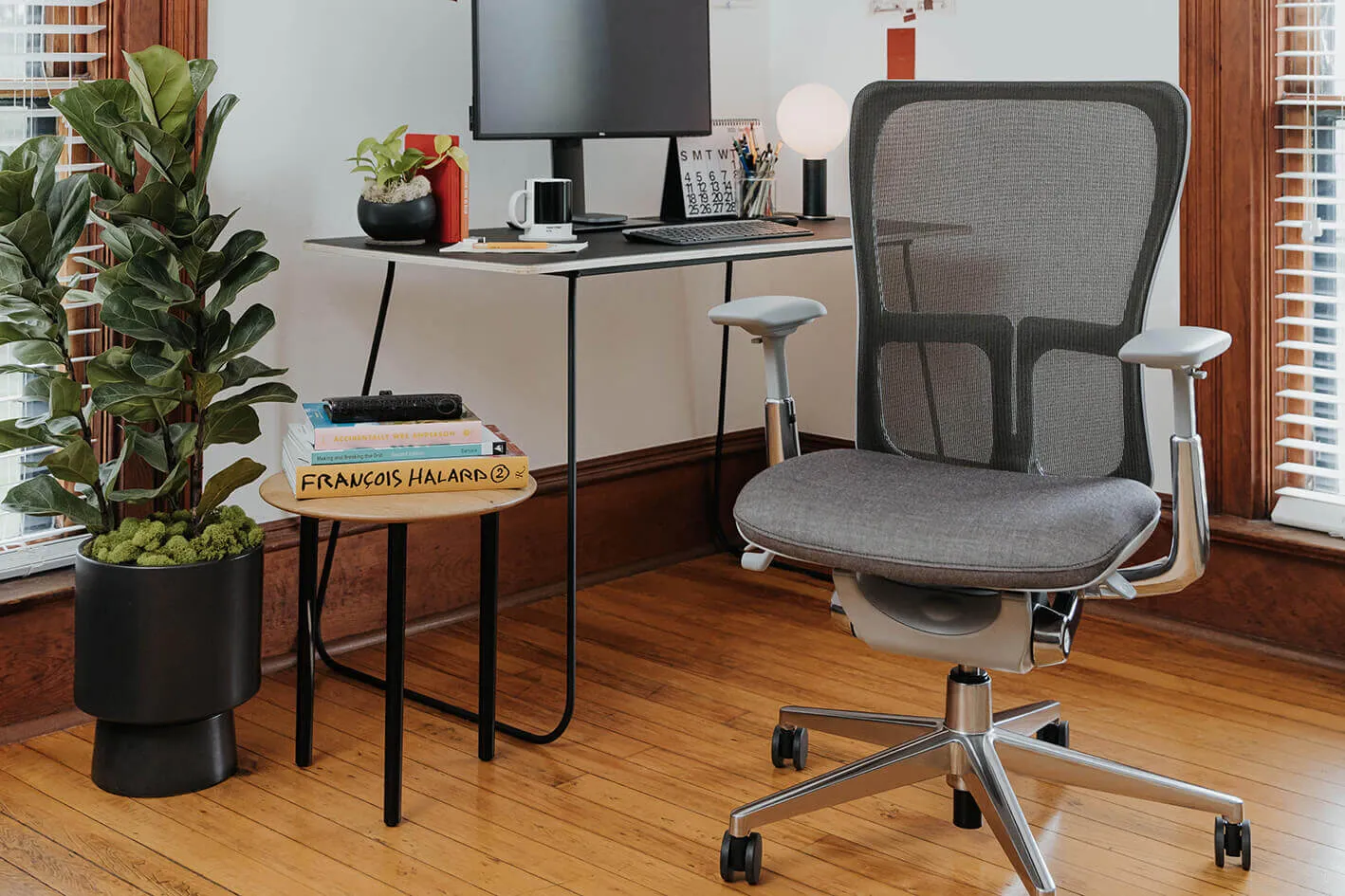 Classic Zody Mesh - Height Adjustable Arms