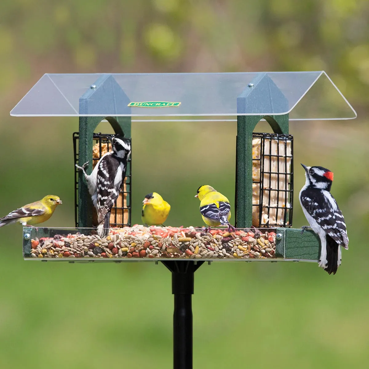Duncraft Double Delight Feeding Station