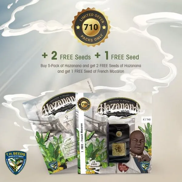 T.H. Seeds - Hazanana   2 x Free Seeds & 1 French Macaron